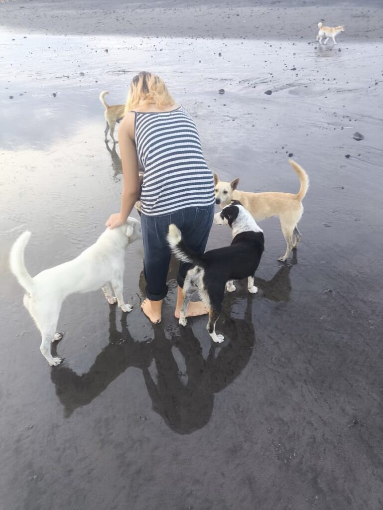 putri saya memberi makan anjing jalanan di pantai Bali