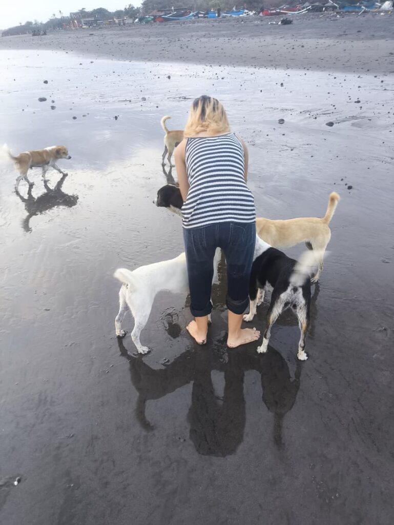 anak saya sedang memberi makan anjing liar bali