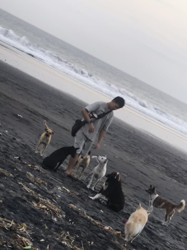 Penyelamat mandiri menangani TVT pada anjing di lapangan
