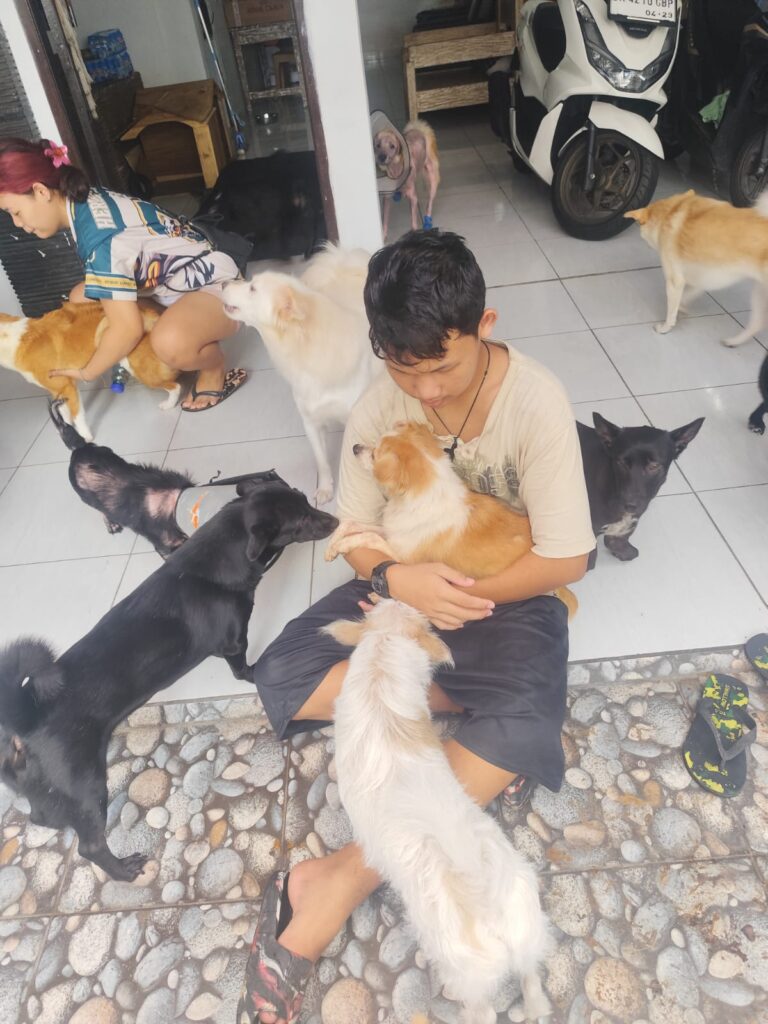 Faustina dan Tristan bersama anjing-anjing yang telah kami selamatkan dan adopsi